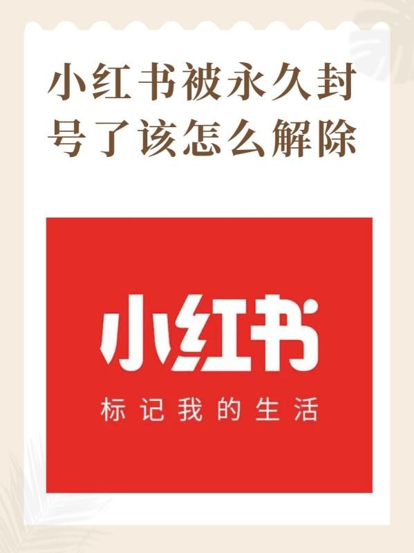 小红书怎样解封帐号？