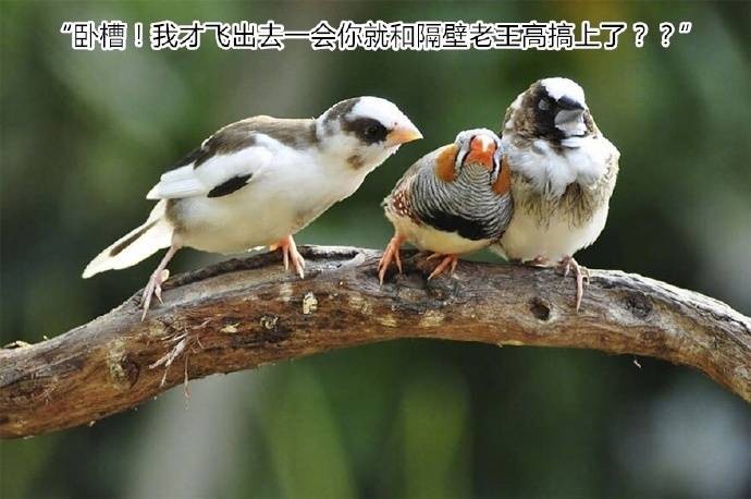 家中没有人，qq小号突然上线，是不是招贼，赶紧打开视频，竟然是！把我吓坏了